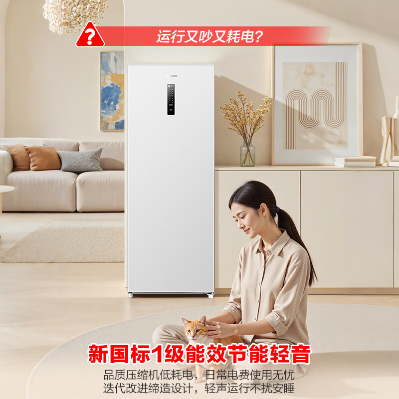 容声大冰象201升立式家用小型抽屉式冰柜冷柜冷冻冷藏单门小冰箱 BD-201E30LNLAD高清大图