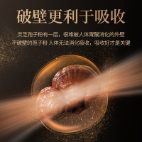 破壁灵芝孢子粉 60克/盒 高浓缩灵芝粉礼盒装