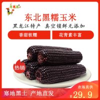 月亮岛黑玉米4斤10根黑龙江甜糯玉米棒带叶黑玉米棒2000g真空装糯玉米鲜食玉米口感嫩糯微甜整玉米棒东北黏玉米