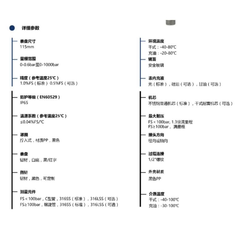 ZIVE 安全压力表ZIVE-1306464高清大图