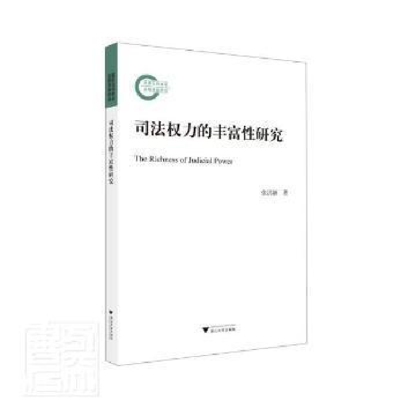 正版新书]司法权力的丰富性研究张洪新浙江大学出版社9787308223高清大图
