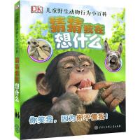 DK儿童野生动物行为小百科 英国DK公司(Dorling Kindersley) 编;杜倩 译 著 少儿 文轩网