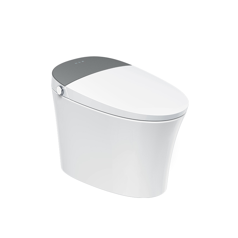 金牌卫浴GOLD R01Z隐藏水箱 泡沫盾脚感智能马桶 KA(含安装)RF3201Z(400坑距) 白色 400MM