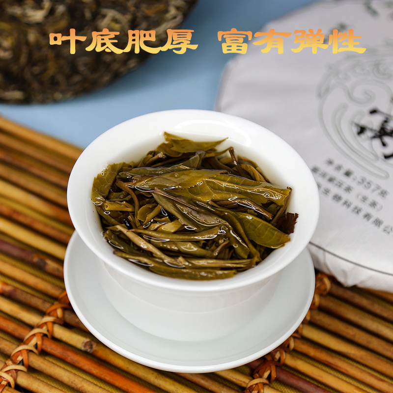 2022春茶凤凰窝头春普洱生茶饼云南普洱茶七子饼茶叶357g