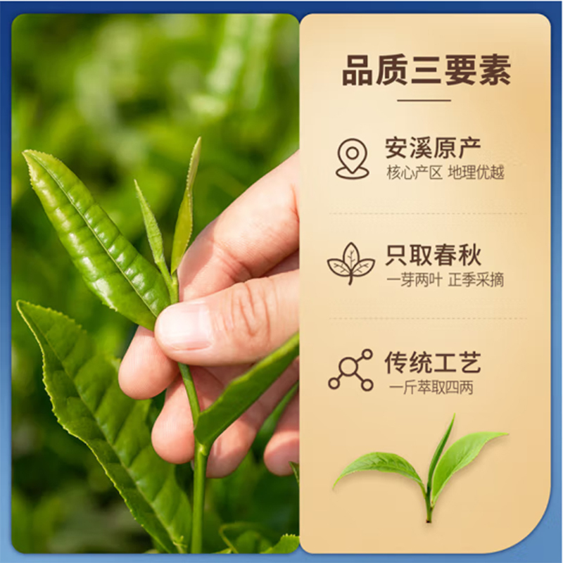 忆江南 愚余斋 荷韵铁观音225g高清大图