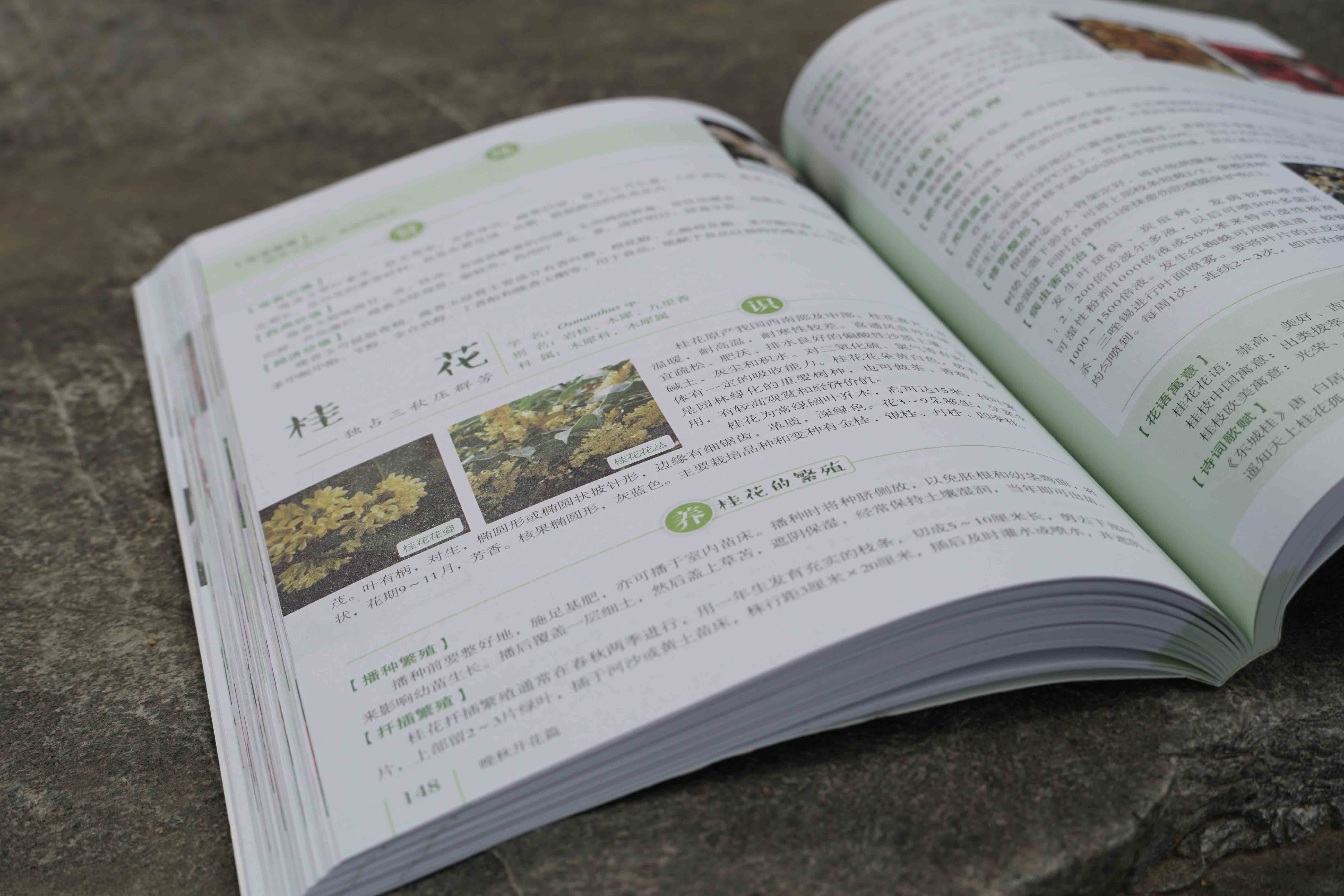 [醉染正版]正版 四季花木养护与赏析 120种花草树木花赏析 花卉培育与鉴赏书籍 常见植物识别与鉴赏 养花书籍园艺花艺师高清大图