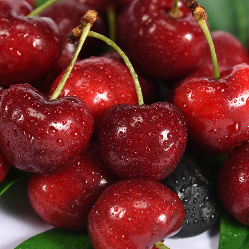 山东国产美早樱桃新鲜水果大樱桃3斤装26mm28mm