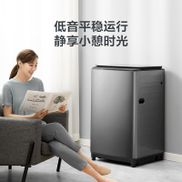 小天鹅(LittleSwan)洗衣机全自动波轮 10公斤水魔方防缠绕银离子除菌除螨变频智能TB100VT85WACL