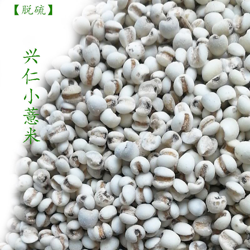 薏米茶炒薏米薏苡仁健炒熟薏米