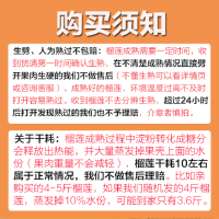 【预售】泰国金枕榴莲2-3斤装 巴掌榴莲 香味浓郁 唇齿留香，甜蜜如初恋