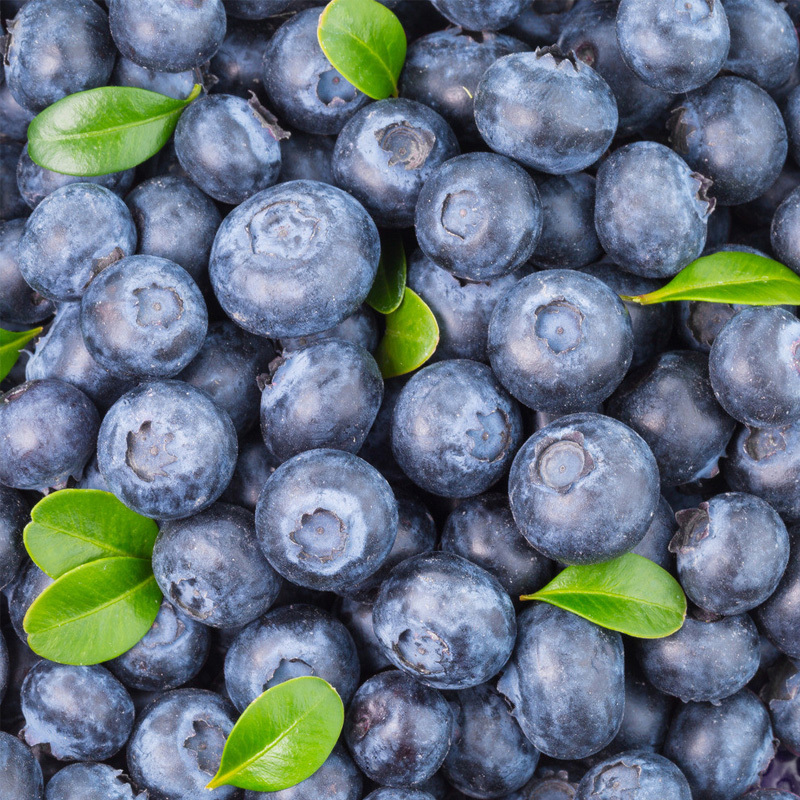 大唐果园国产蓝莓2盒