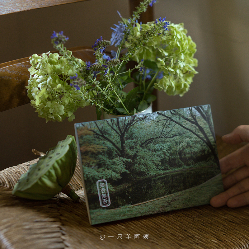 [正版]知否知否 摄影师@一只羊阿姨28张摄影作品 大自然中绿色系景象和事物 出类艺术明信片创意唯美风景文艺小清新贺卡高清大图