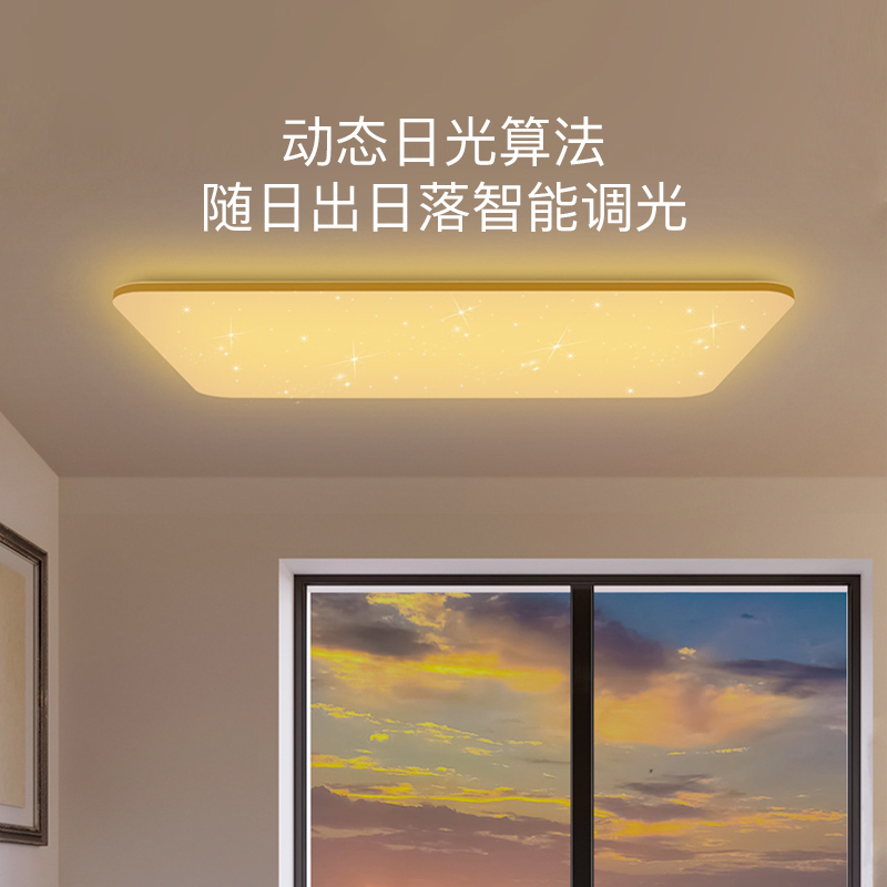 飞利浦卧室灯智能led吸顶灯APP控制客厅灯餐厅灯 现代简约超薄灯具 流萤满天星系列