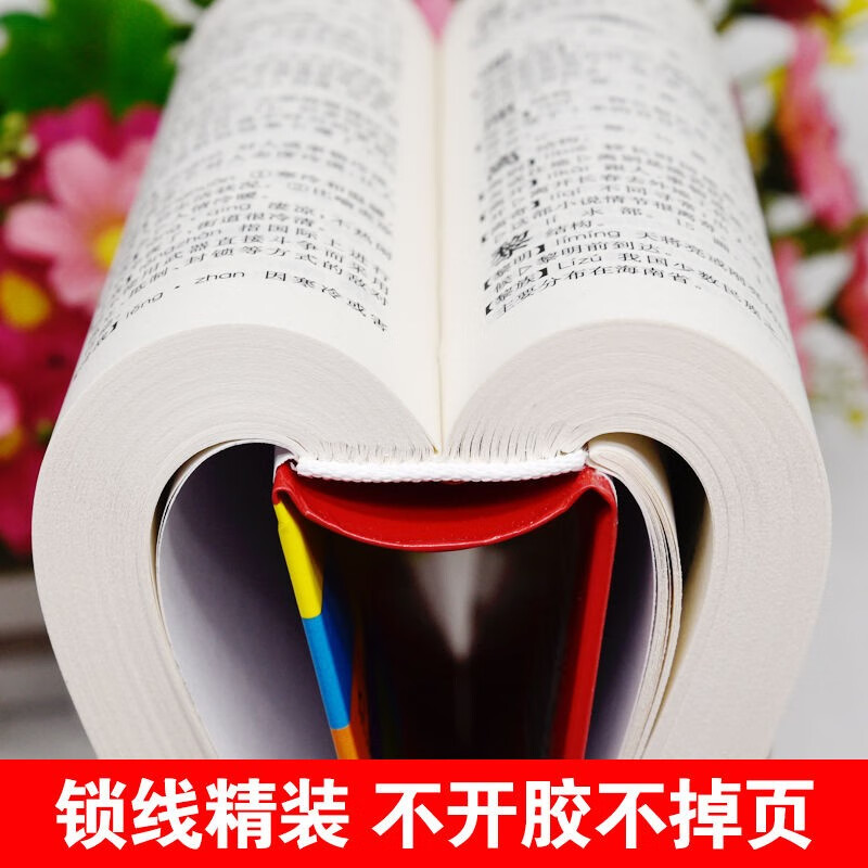 唐文现代汉语小词典 [正版]中小学生现代汉语小词典初中生小学生人教版语文常用实用多功能四字词语解释大全组词造句带拼音书汉高清大图