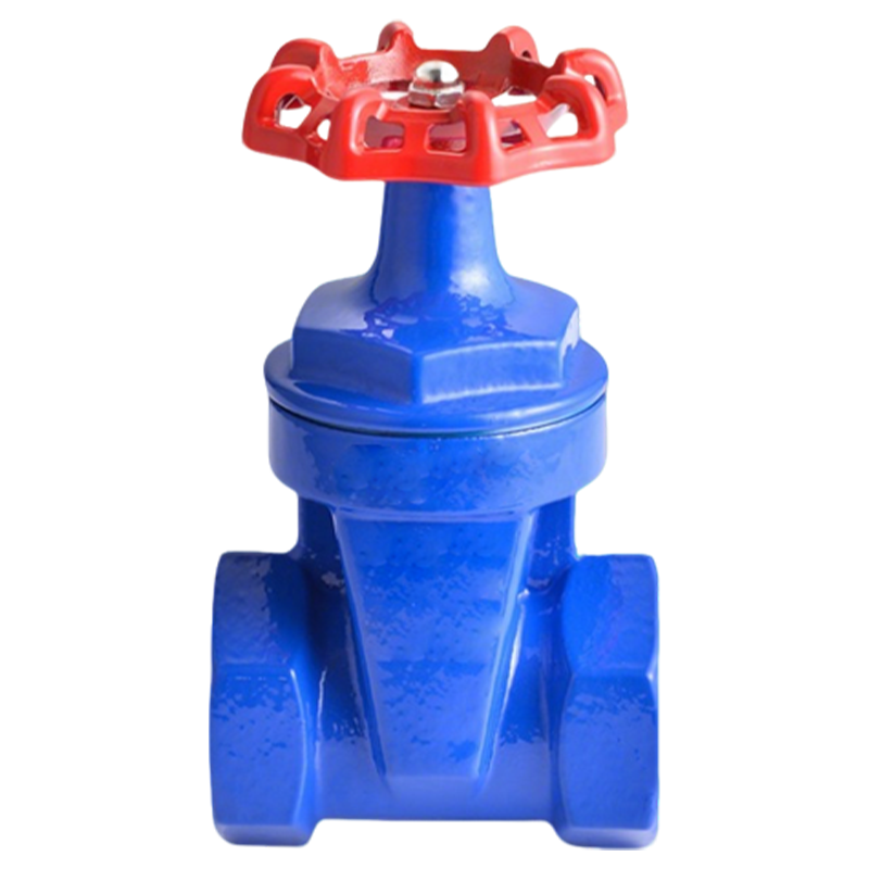 卡西斯顿 铸铁丝扣闸阀 DN40 个高清大图