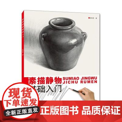 素描静物基础入门