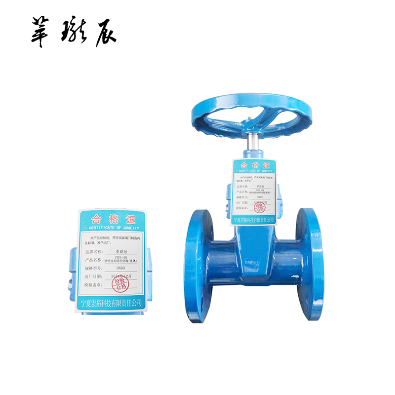 萃珑辰 Z45X-16Q弹性座封暗杆闸阀(重体) DN80 个高清大图