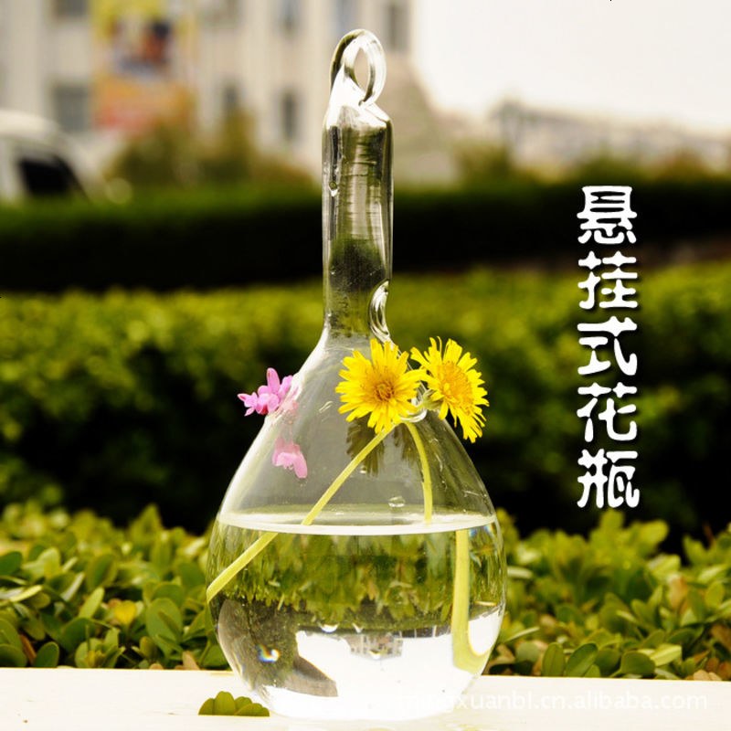 创意透明悬挂玻璃花瓶 时尚水培花器 玻璃花插家居工艺品HP21