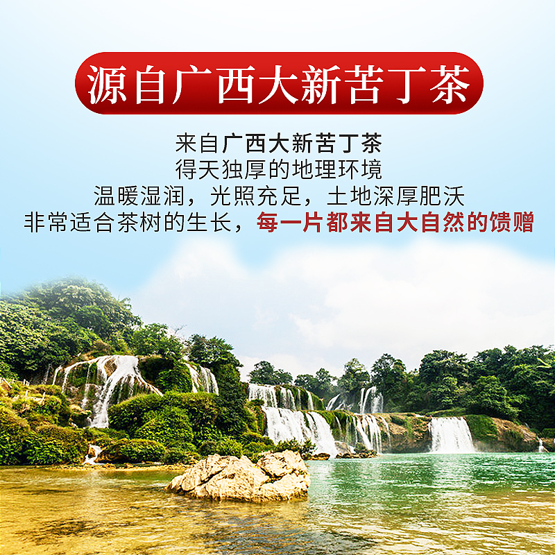 庄民 苦丁茶90g/罐 精选大叶好货 青山绿水 苦丁 茶叶花草茶泡水