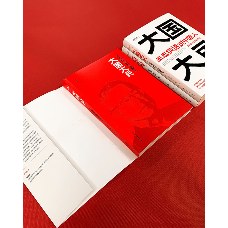 [正版]出版社大国大民 王志纲话说中国人 中国文化精神读本要略常识 国学传统民俗文化书籍 王志刚GWRH云图