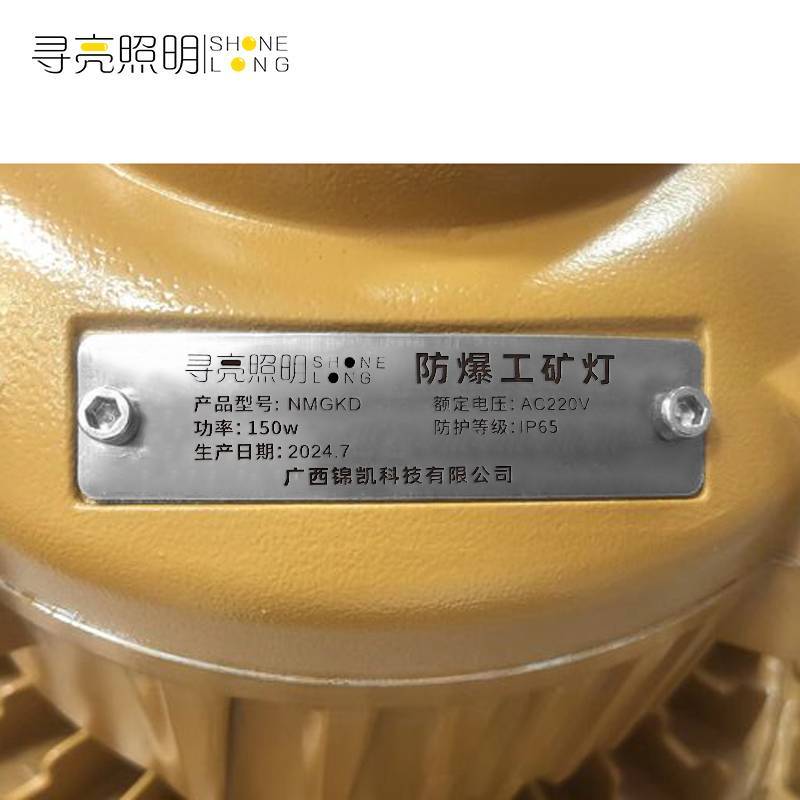 寻亮照明 工矿灯 防爆 NMGDK 150W 个