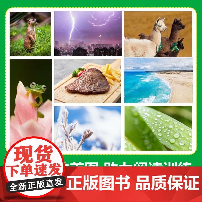 美国国家地理英语分级读物同步练第2级 儿童英语分级阅读第二级ket单词训练营英语词汇语法通用小学课外书籍高清大图