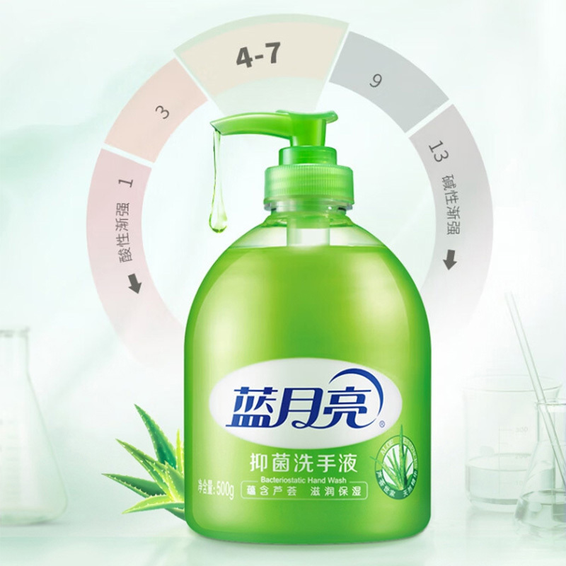蓝月亮洗手液抑菌保湿滋润芦荟清香洗手液500g*6瓶+500g*6袋