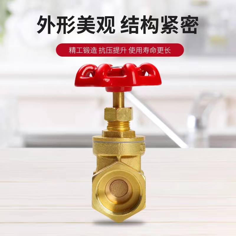 盛京联硕 铜闸阀 DN25[1寸] 个高清大图