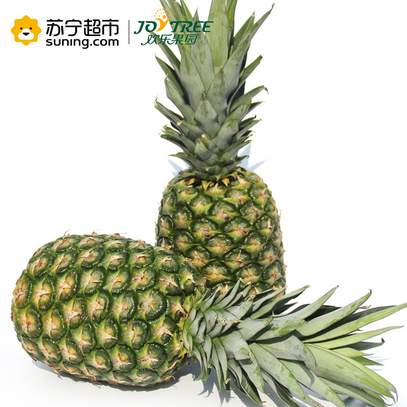 欢乐果园 菲律宾进口凤梨 2粒简装 1Kg以上/个 菠萝/凤梨 冷藏热带水果类