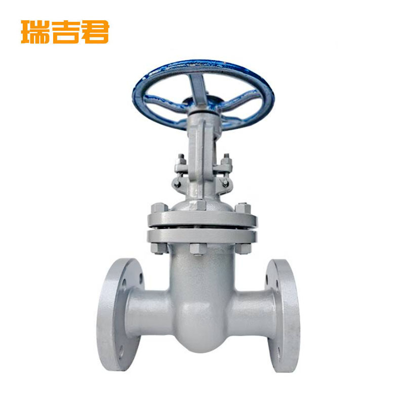 瑞吉君 法兰铸钢闸阀 DN25 单位:个高清大图