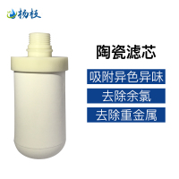 杨枝净水器陶瓷滤芯滤芯厨房水龙头滤水器家用直饮自来水过滤器一机二滤