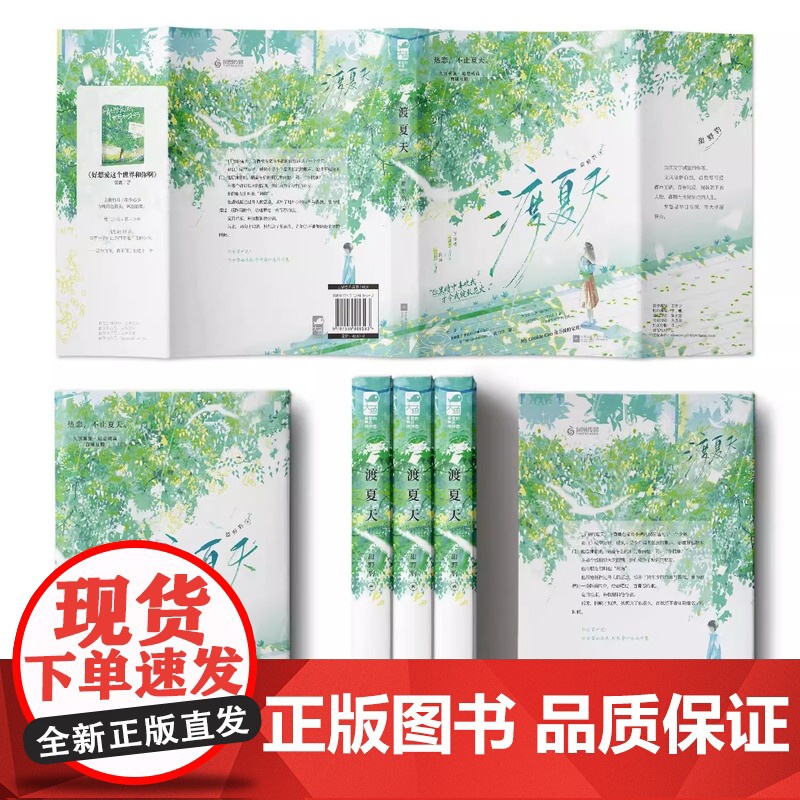 渡夏天 甜野豹著 久别重逢 暗恋成真 治愈甜文 消防员纵虎嗅花 青春文学校园BE酸涩暗恋言情小说实体书籍 正版书籍高清大图