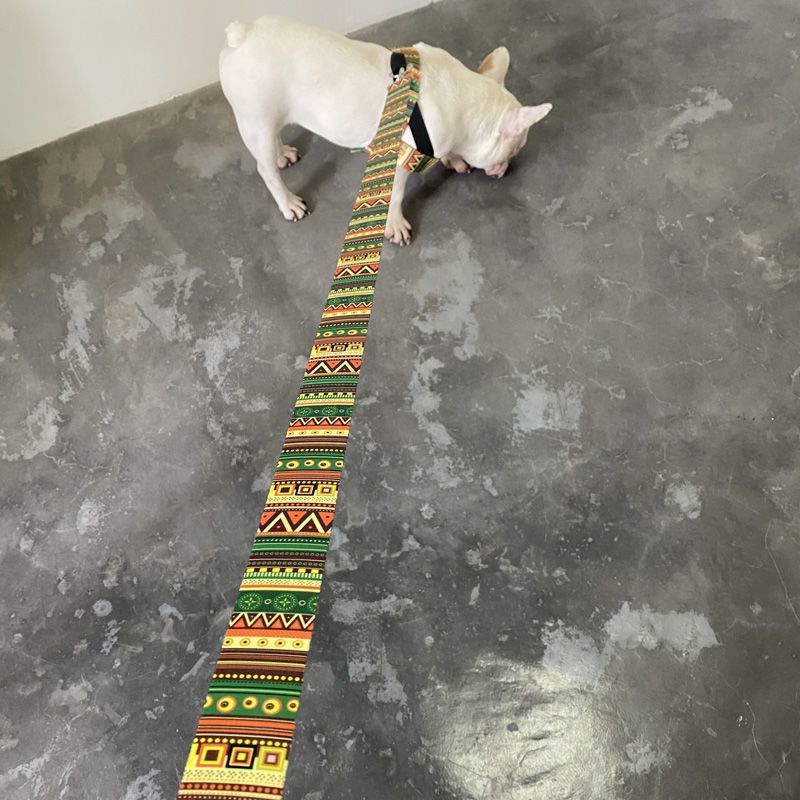 B47 单个牵引绳 背心式狗狗牵引绳泰迪柯基金毛法斗中大型犬胸背带遛狗绳链子用品