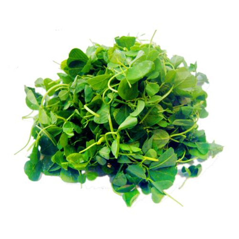 草头250克叶菜类您没有填写评价内容-苏宁易购