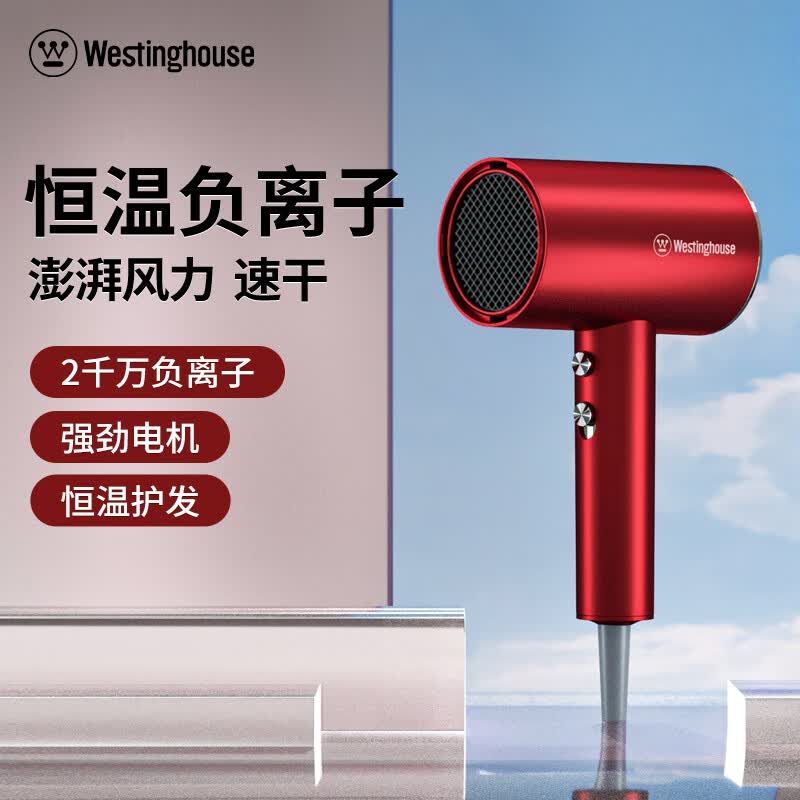 西屋(Westinghouse)电吹风机 H108(单位:台)