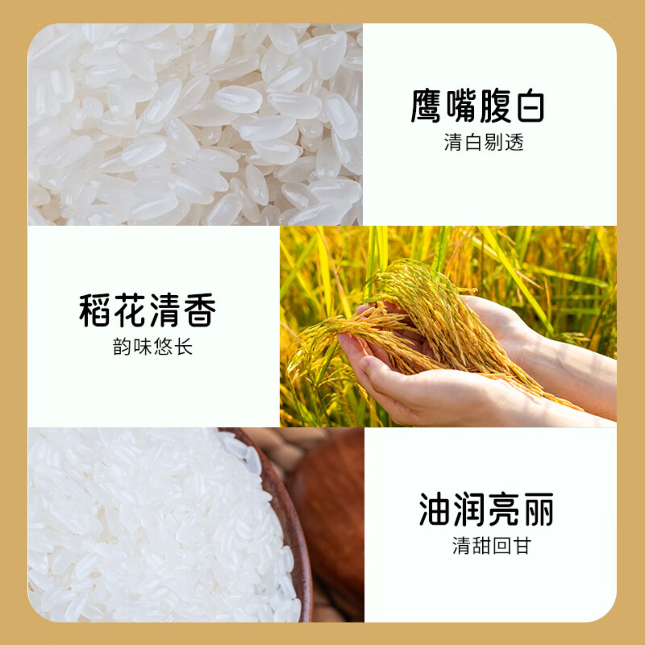 宫廷传琦东北大米长粒香米2.5kg高清大图