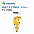 诺斯曼 数控无刷锂电定扭扳手3000N.m 祼机 510808 （1台）