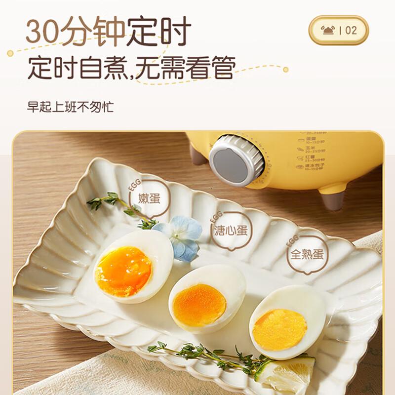 小熊(Bear)煮蛋器 家用双层定时304不锈钢蒸蛋器 双层 无碗ZDQ-2153高清大图