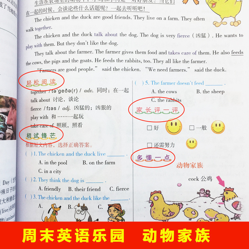小学生英语趣味阅读四年级 阅读理解专项强化训练英语阅读练习4年级小学同步英语练习辅导资料书小学英语语法学音标