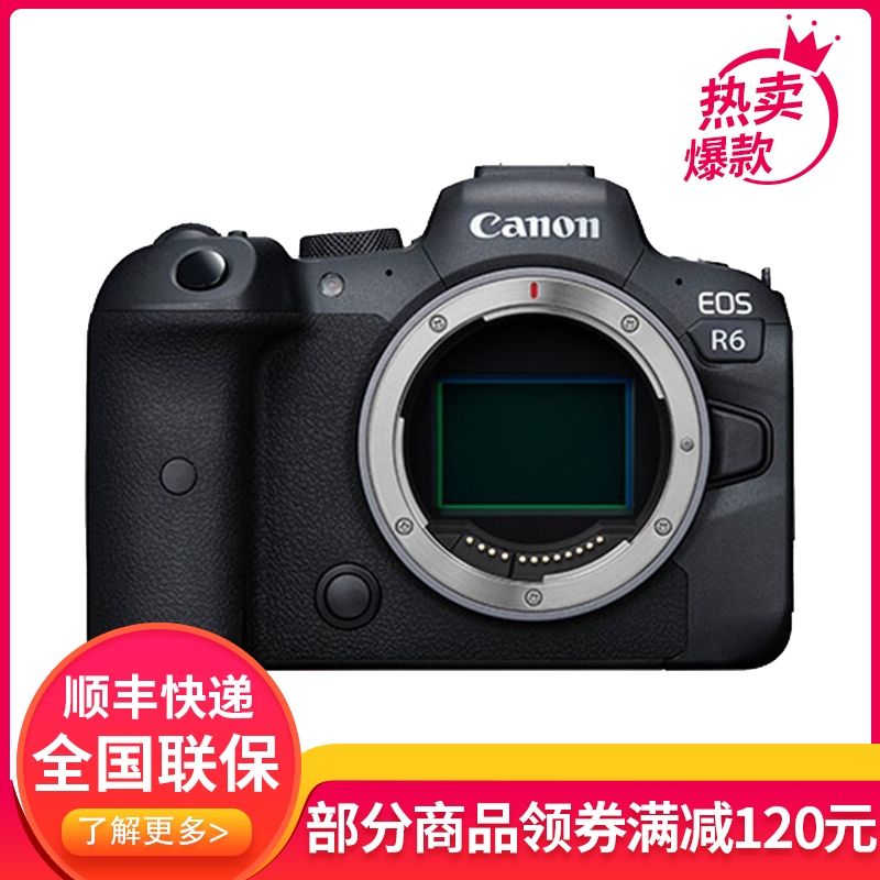 佳能(Canon)EOS R6 全画幅专业微单数码相机 RF 24-70mm F2.8 L IS USM镜头套装 201