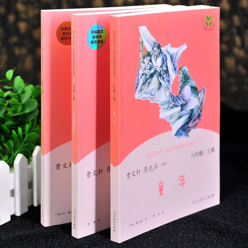 六年级上人教版快乐读书吧童年爱的教育小英雄雨来老师推荐课外书 童年[单本]