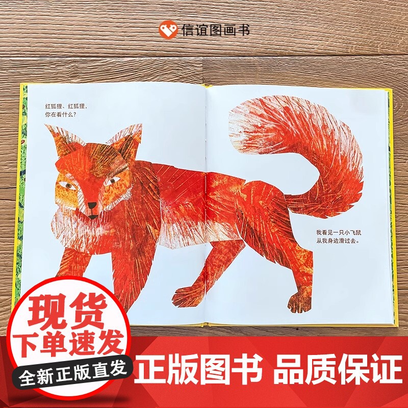 熊宝宝熊宝宝你在看什么硬壳精装图画书儿童绘本适合3-8周岁图书艾瑞·卡尔绘本亲子阅读信谊正版高清大图