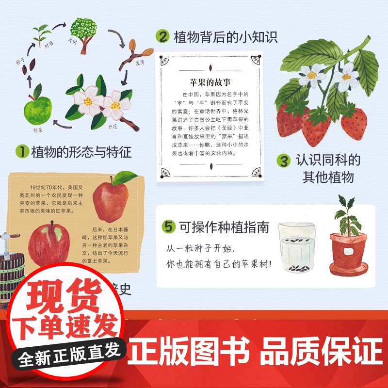 万物生长:平凡日常里的非凡植物 治愈系手绘植物图鉴 了解植物 小学生一二三年级课外阅读读物 趣味科普百科走进大自然培养专高清大图