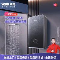 YORK约克燃气快速热水器JSQ30-16-X25