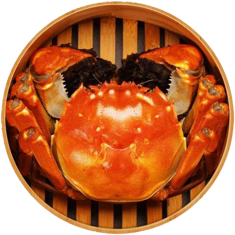企购优品苏澄大闸蟹-金秋蟹礼 雄蟹（2.93两-3.1两）3只+雌蟹（1.9两-2.1两）3只+配料食蟹工具