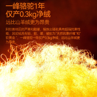 南极人保暖裤女士加绒加厚德发热内穿打底秋裤大码棉毛裤驼绒裤冬