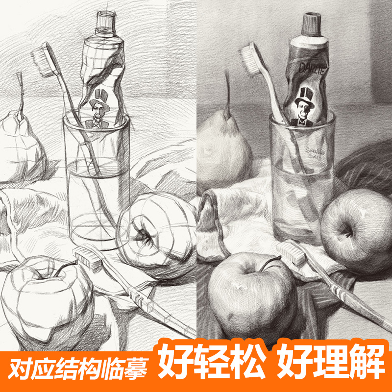 [正版]经典全集经典素描静物杨建飞麦粲杰联考单个单体结构体块临本范本
