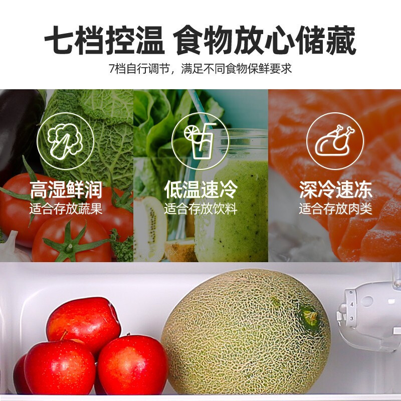 荣事达(Royalstar) 202升迷你冰箱小型家用冰箱 大容量节能低音BCD-202L9RSZ 太空银