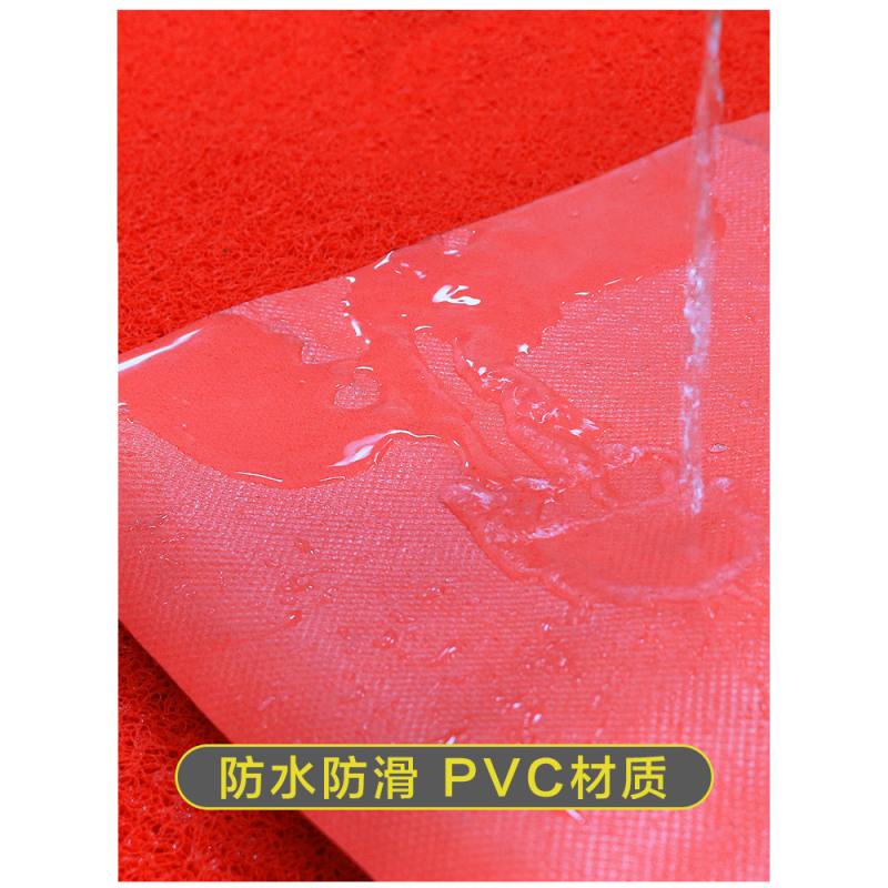 防水门口地垫 地毯门垫进门 塑料丝圈可裁剪防滑厨房脚垫入门垫子