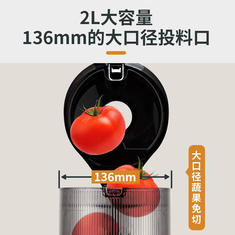 惠人(HUROM)原汁机带过滤网韩国进口多功能大口径家用低速榨汁机H320N-BIS01(GN)